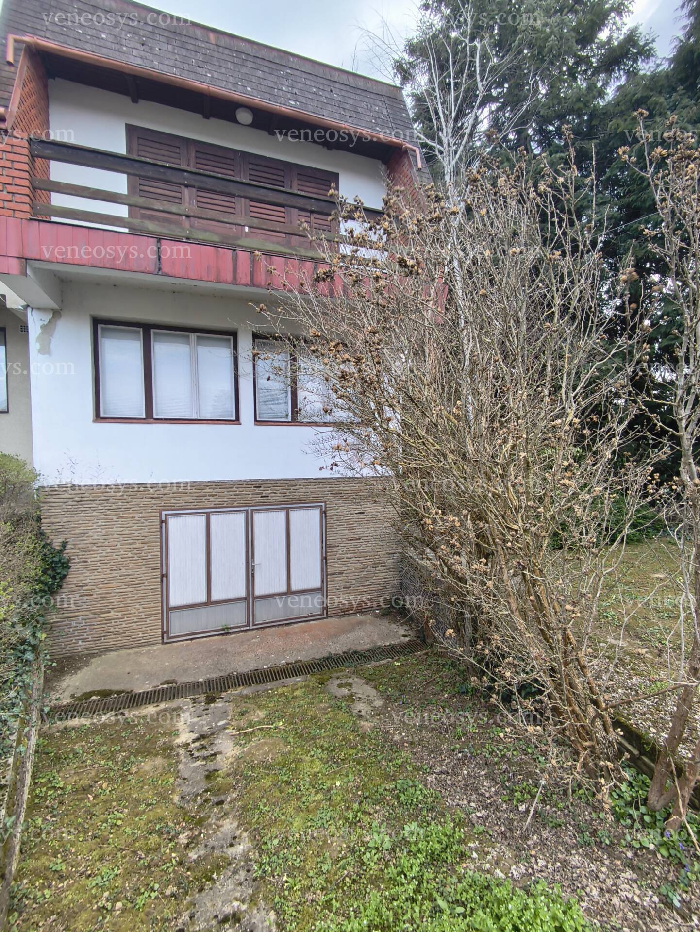 Kép 8