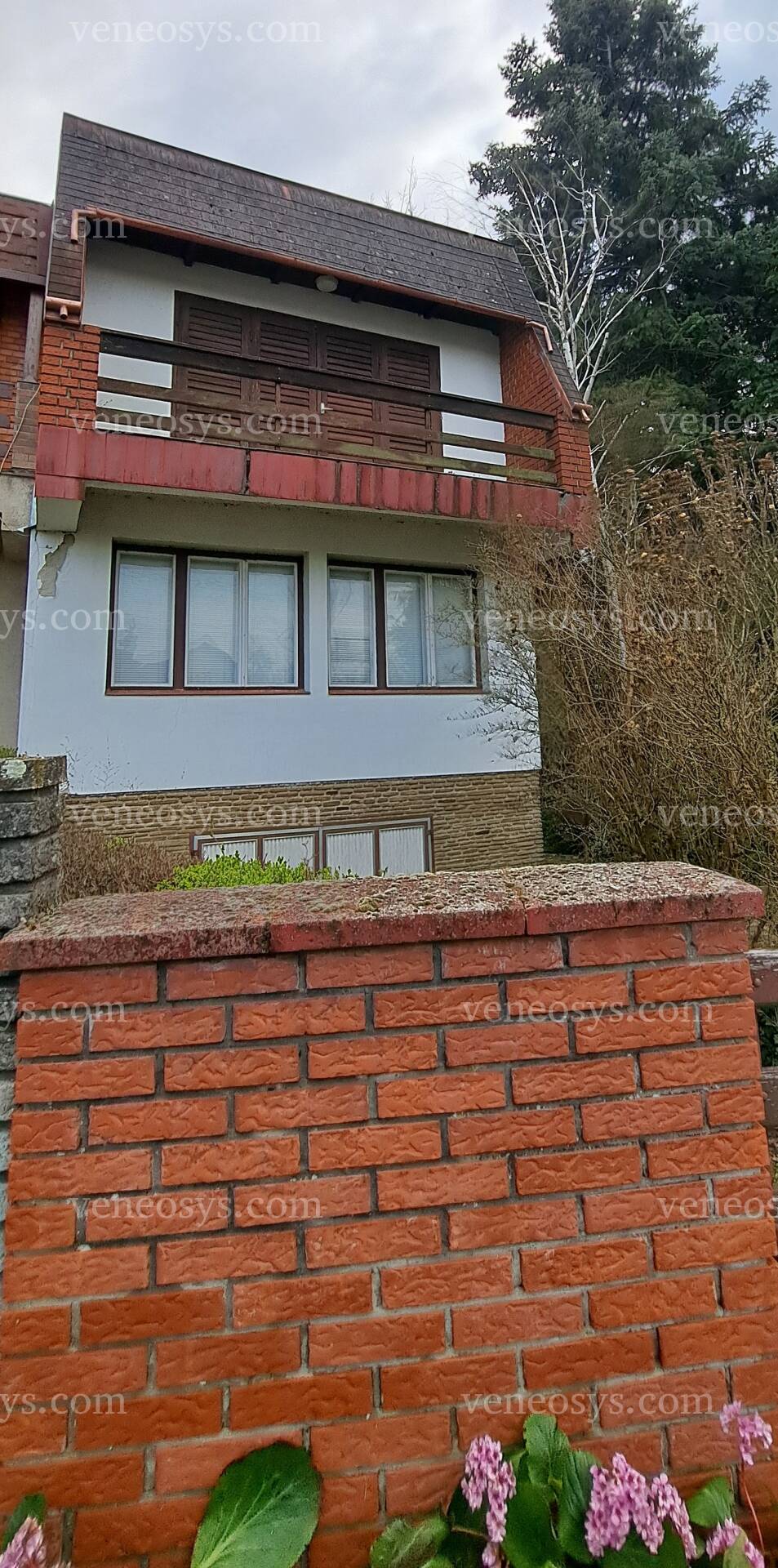 Kép 2