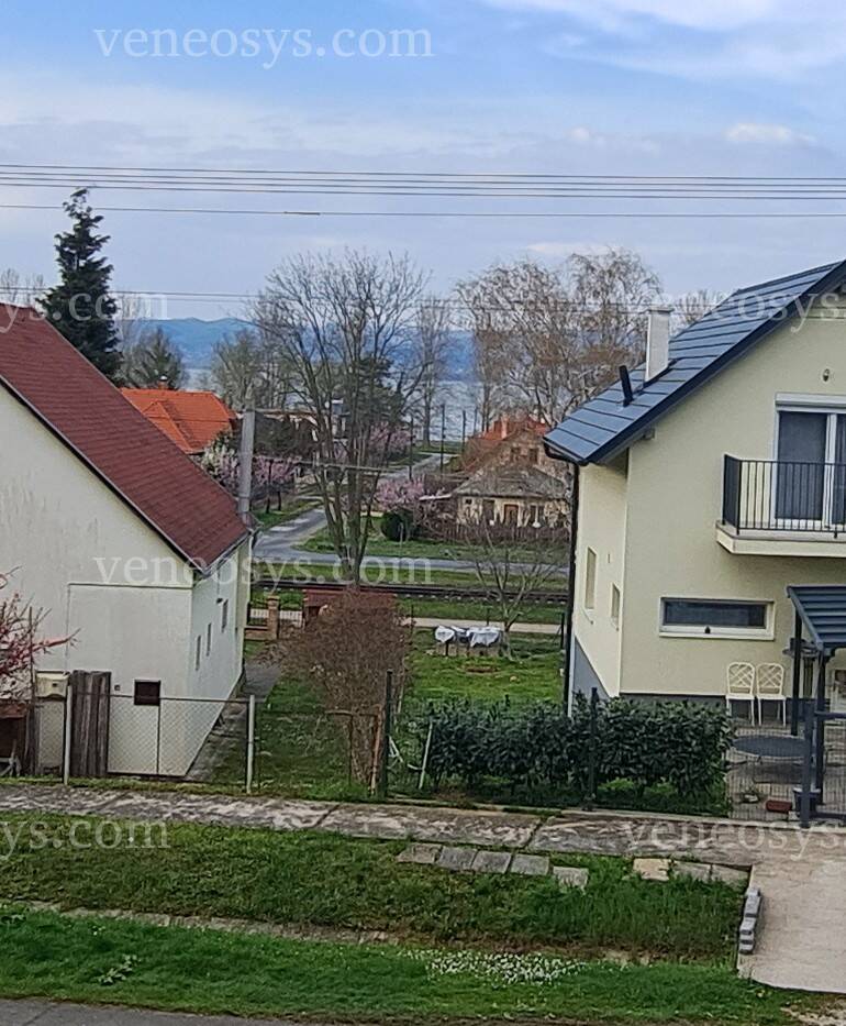 Kép 7