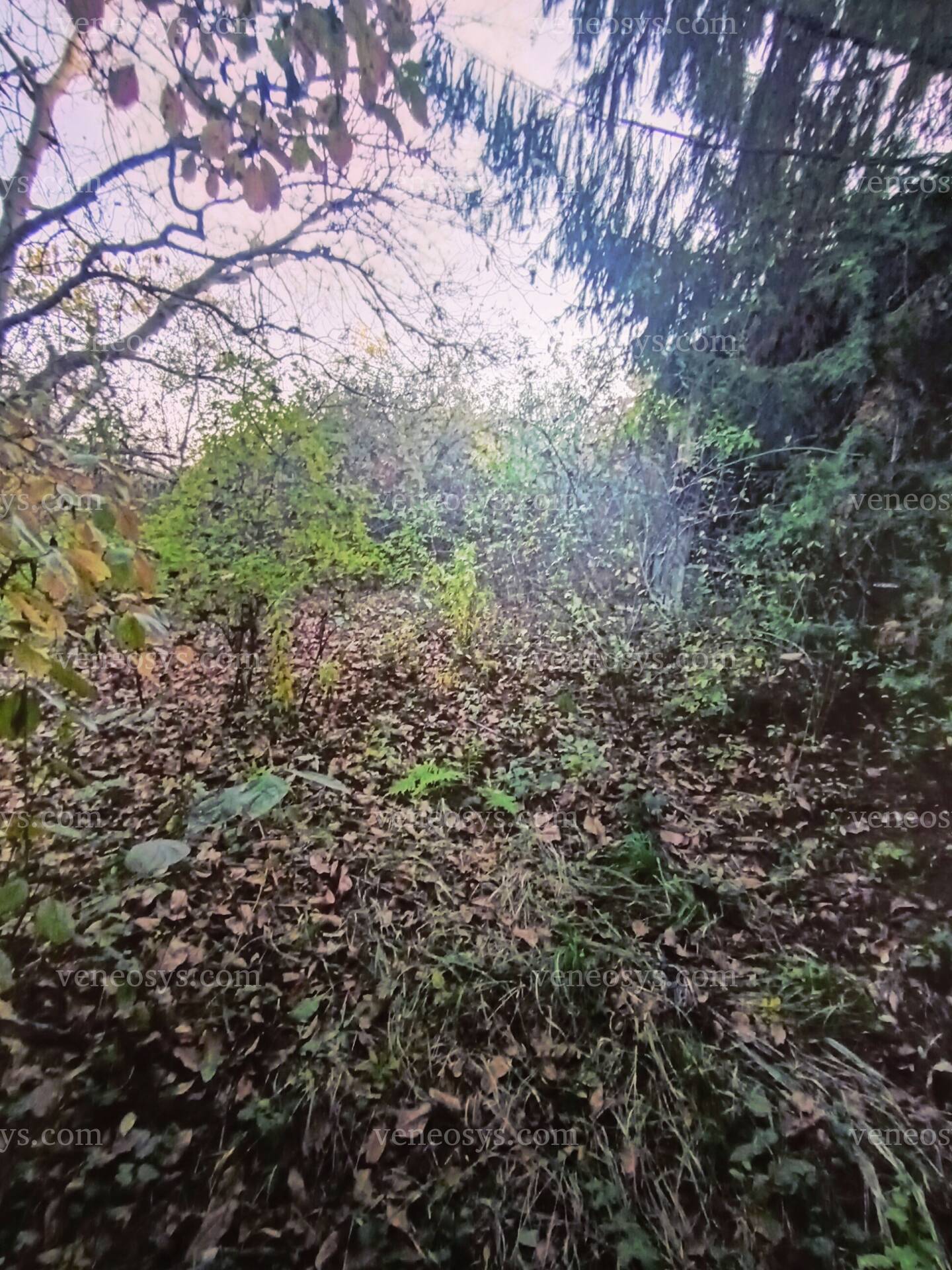Kép 4