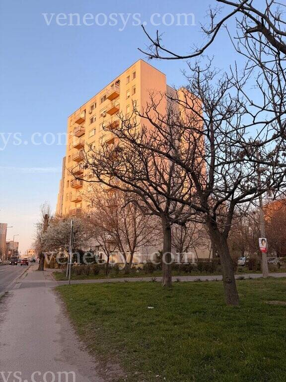 Kép 15