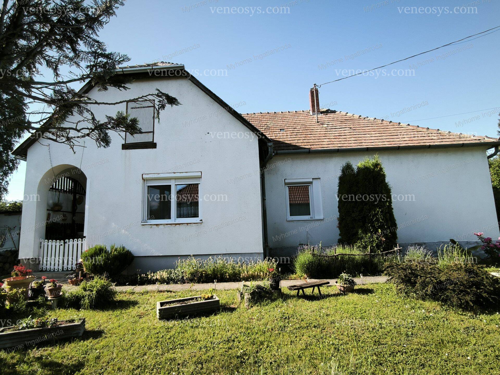 Kép 3