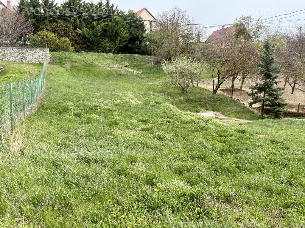 Kép 5