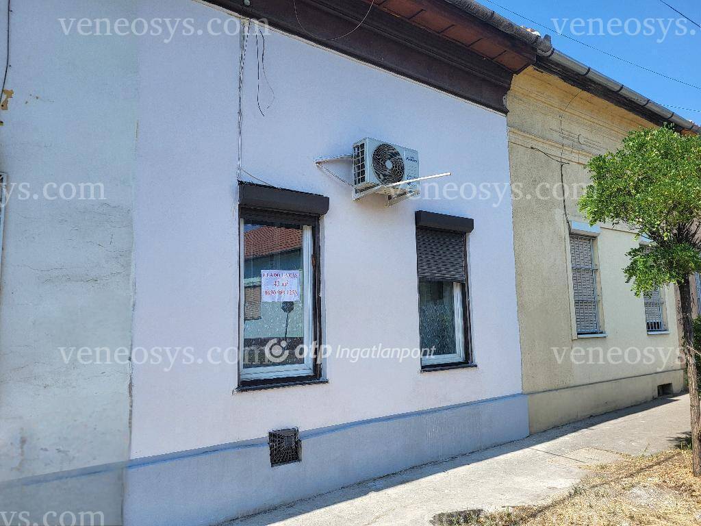 Kép 5