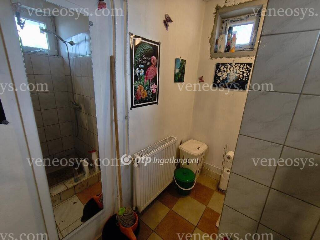 Kép 12