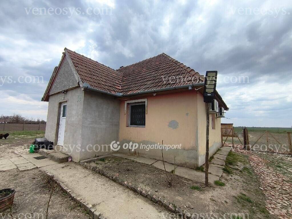 Kép 3