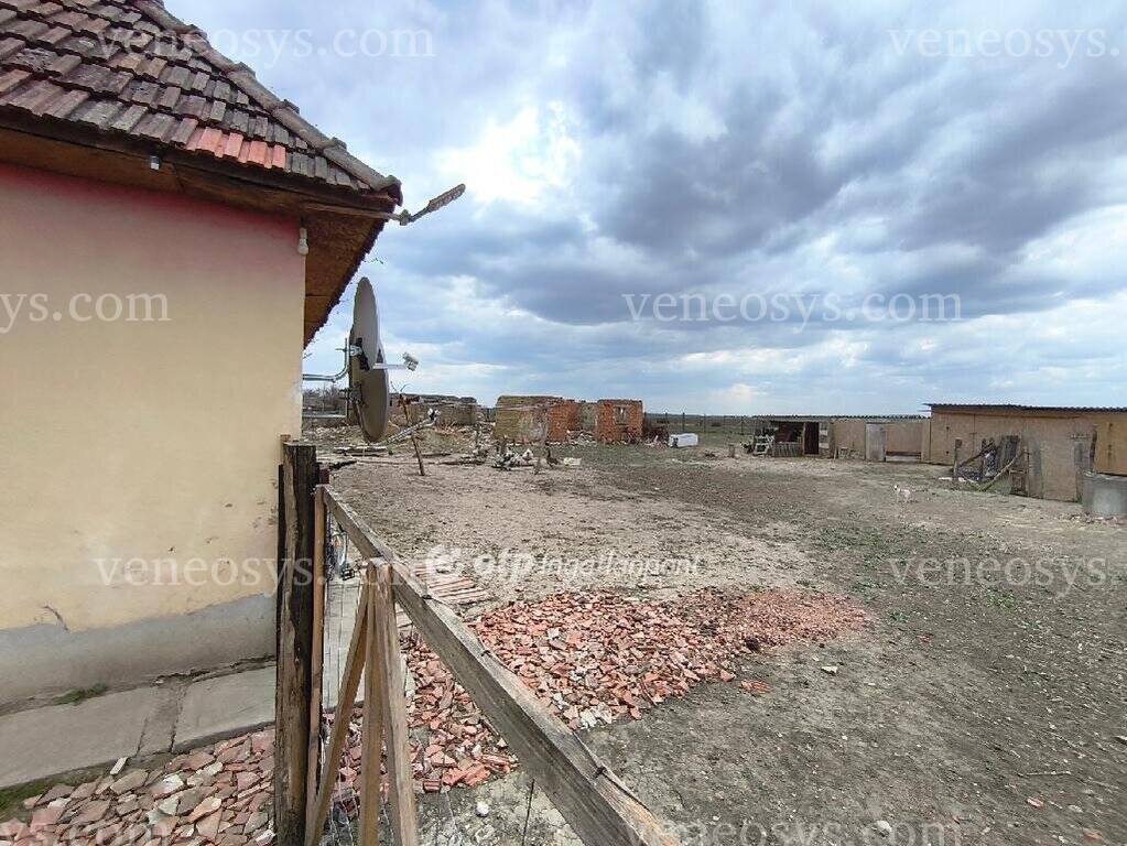 Kép 23