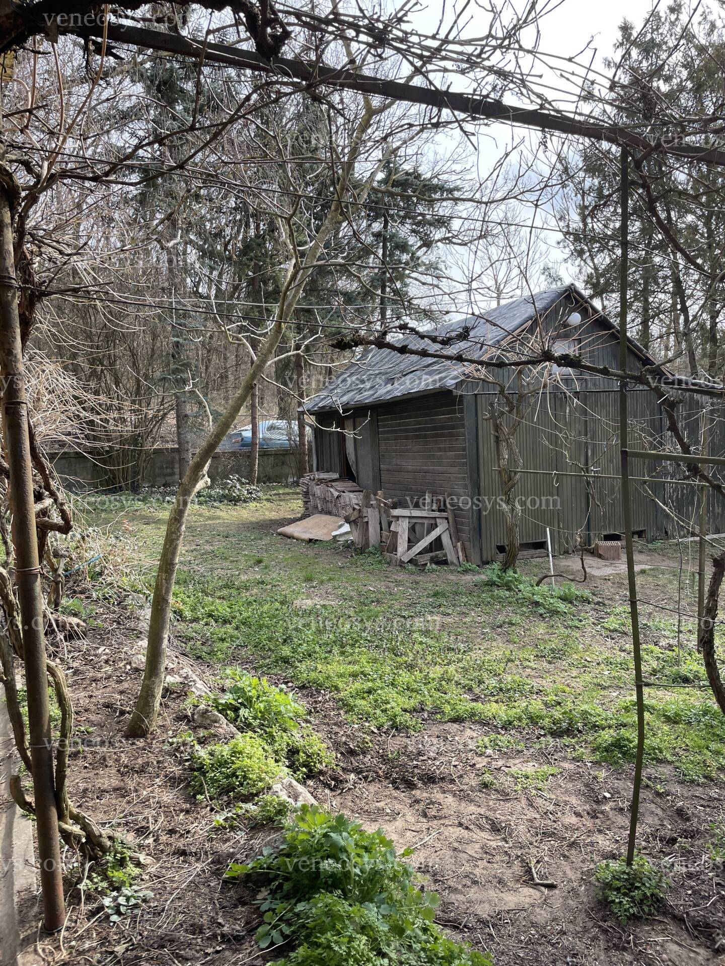 Kép 9
