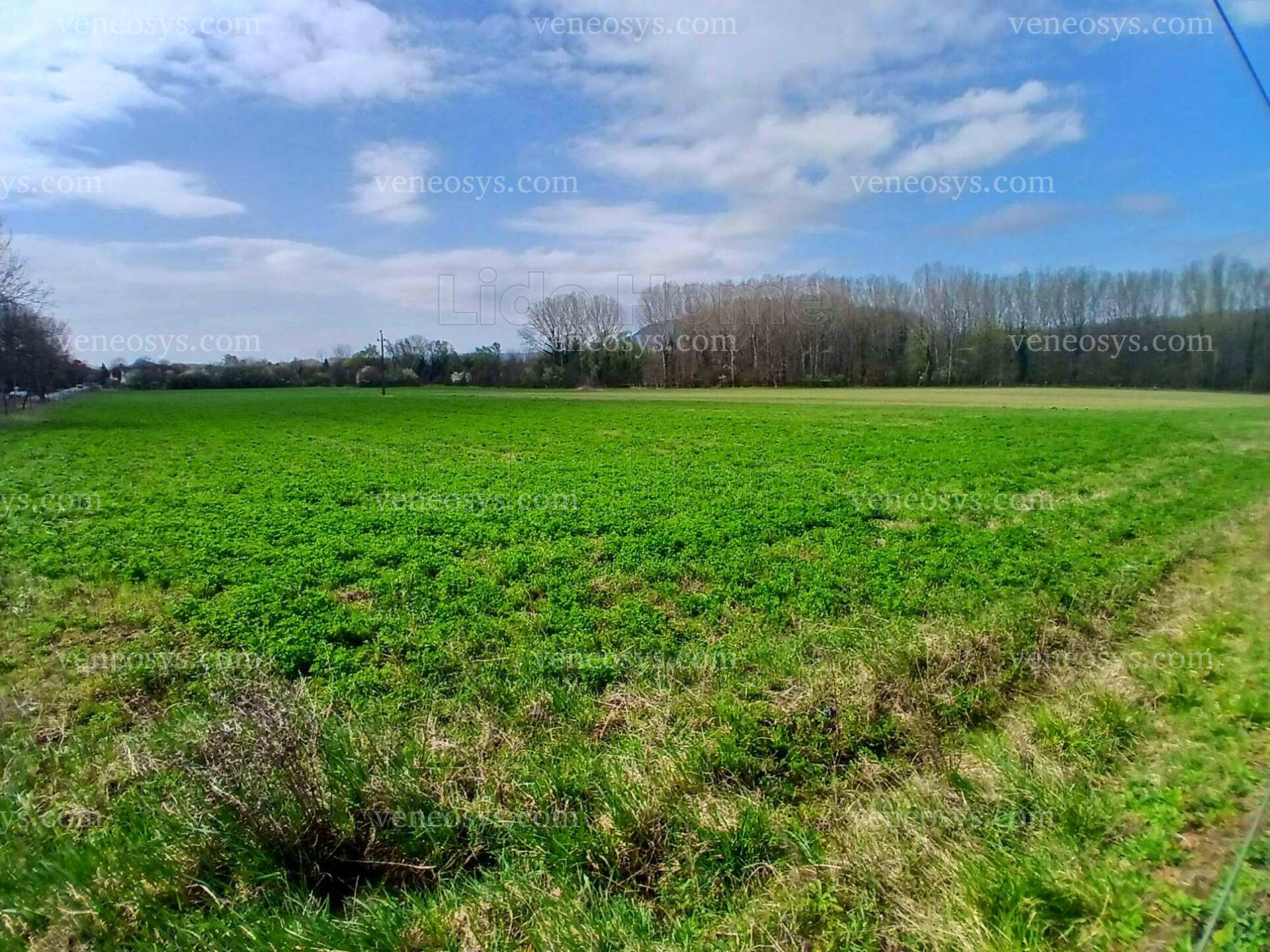 Kép 1