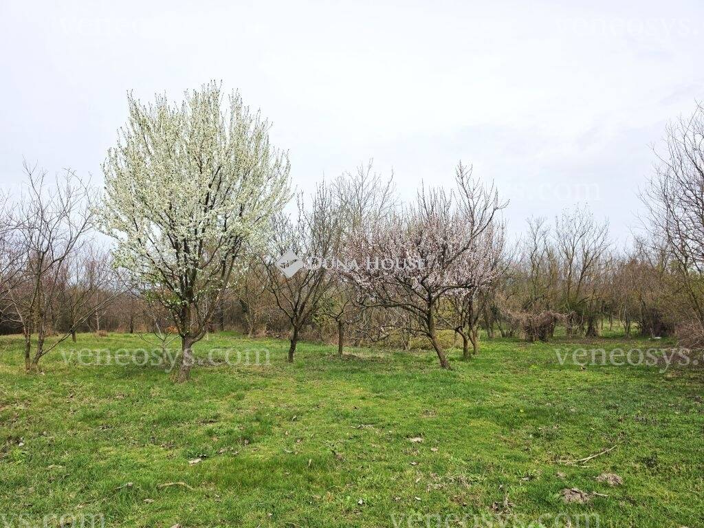 Kép 16