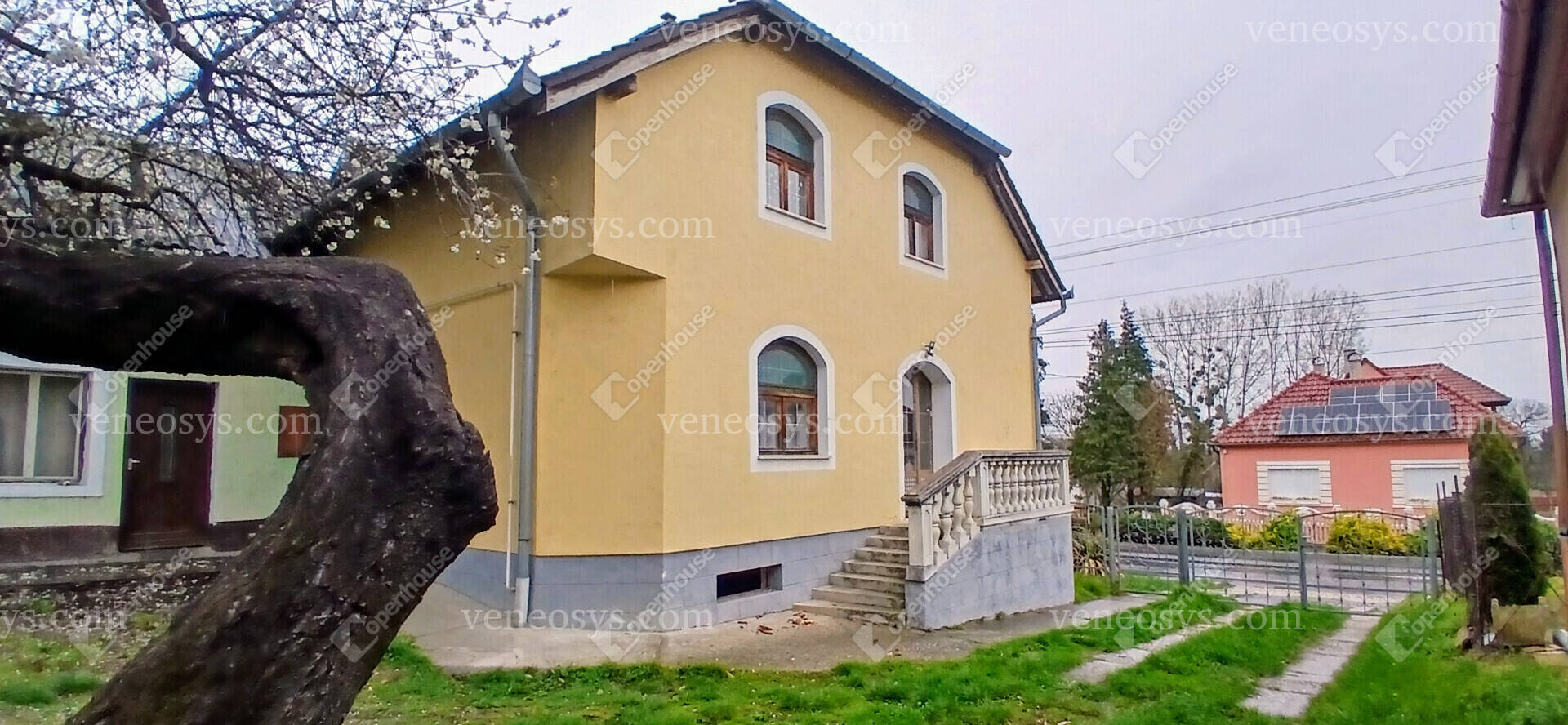 Kép 5