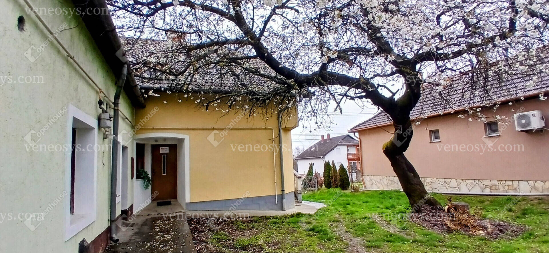 Kép 7