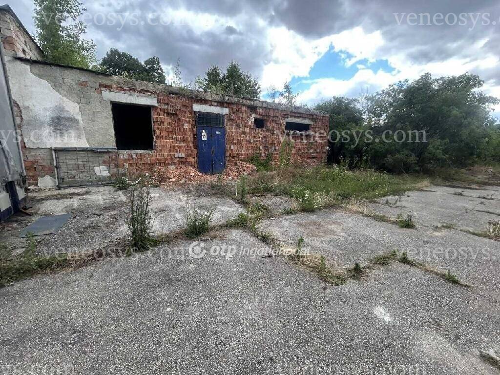 Kép 30