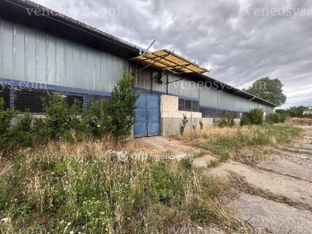 Kép 6
