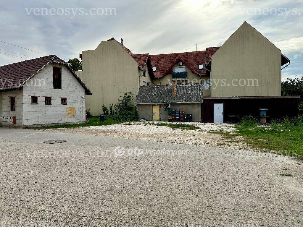 Kép 5