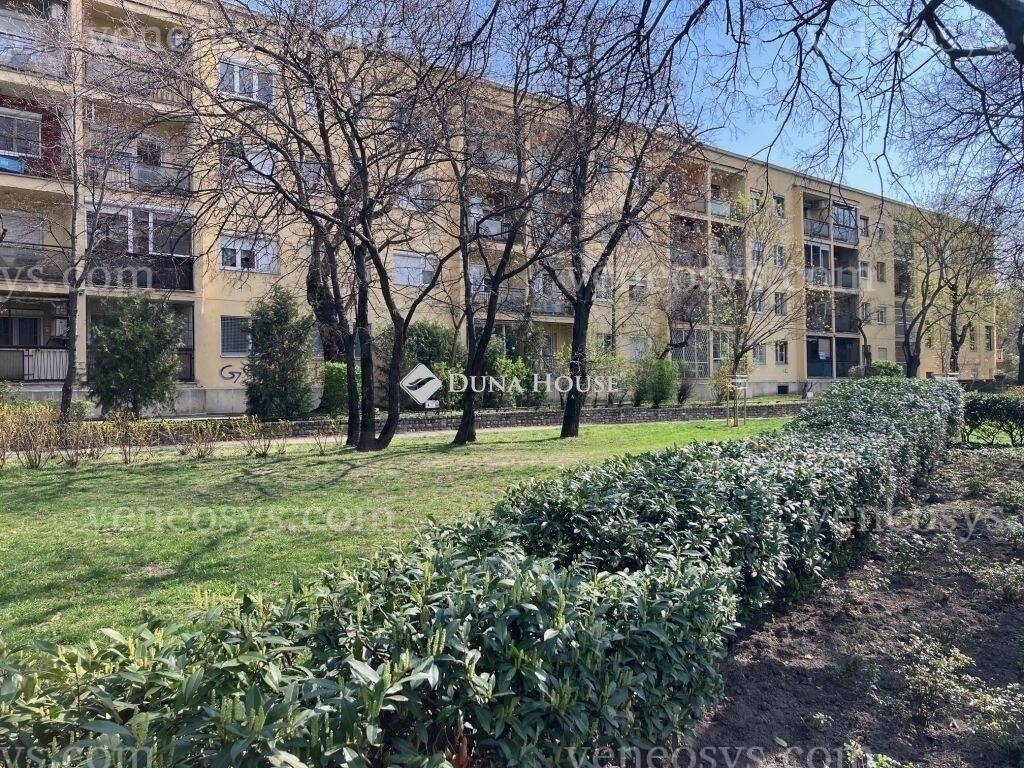 Kép 1