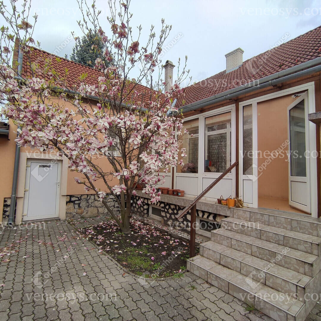Kép 16