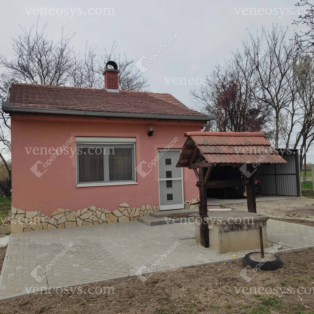 Kép 10