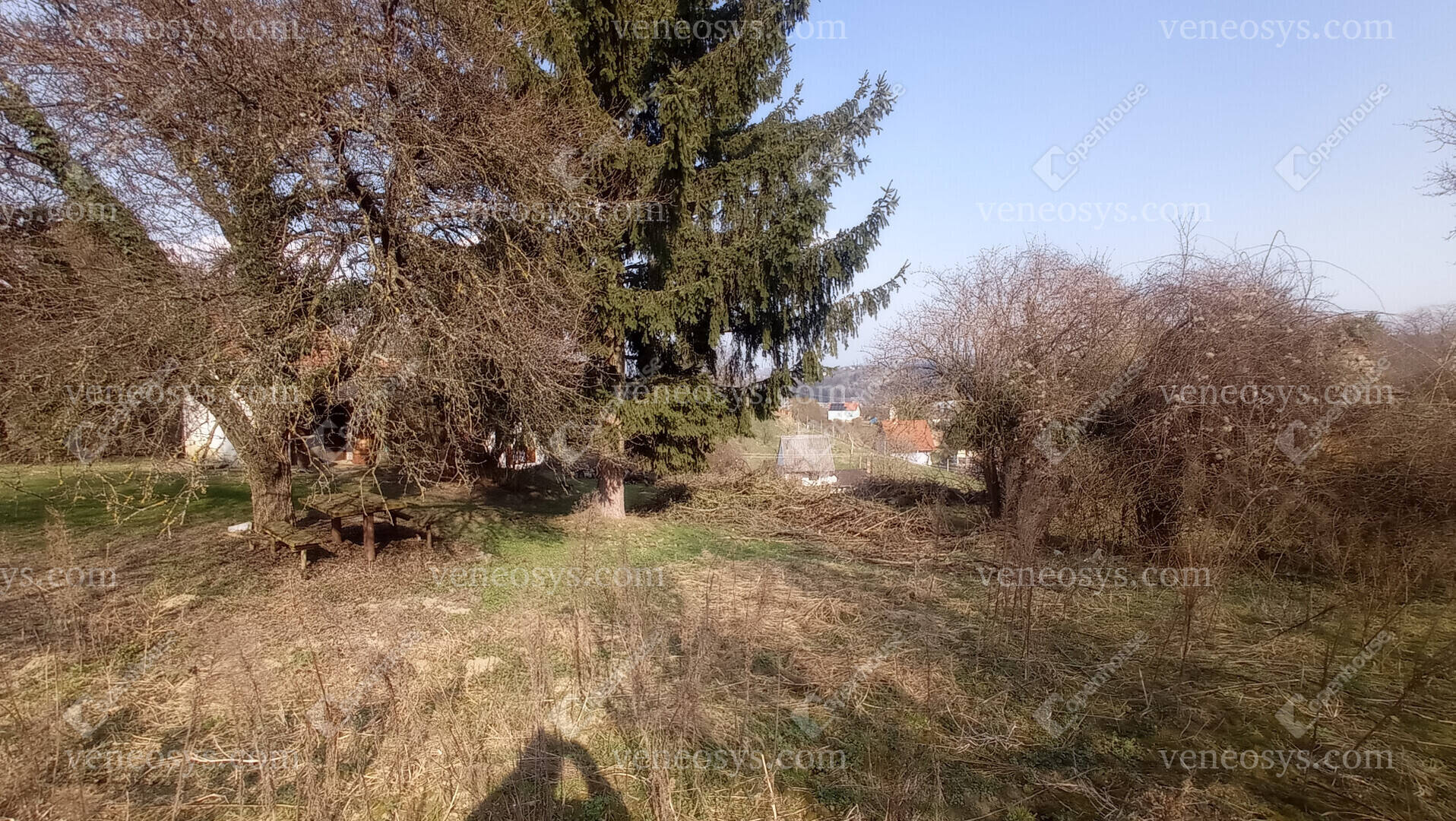 Kép 12