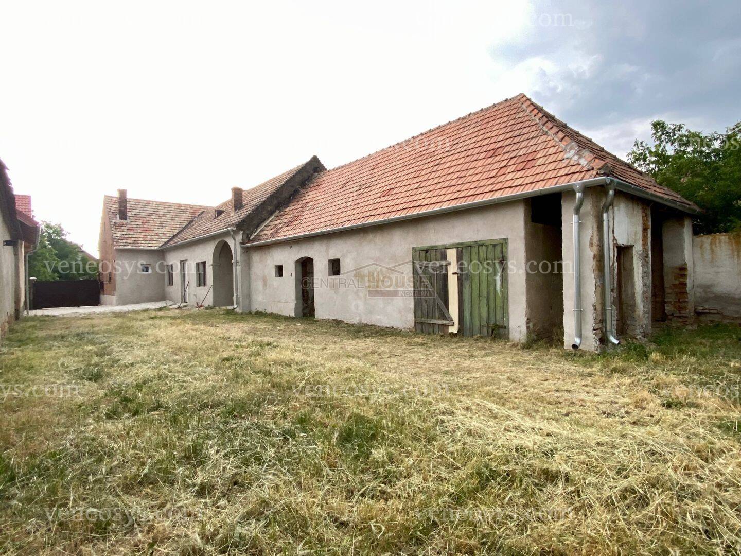 Kép 10