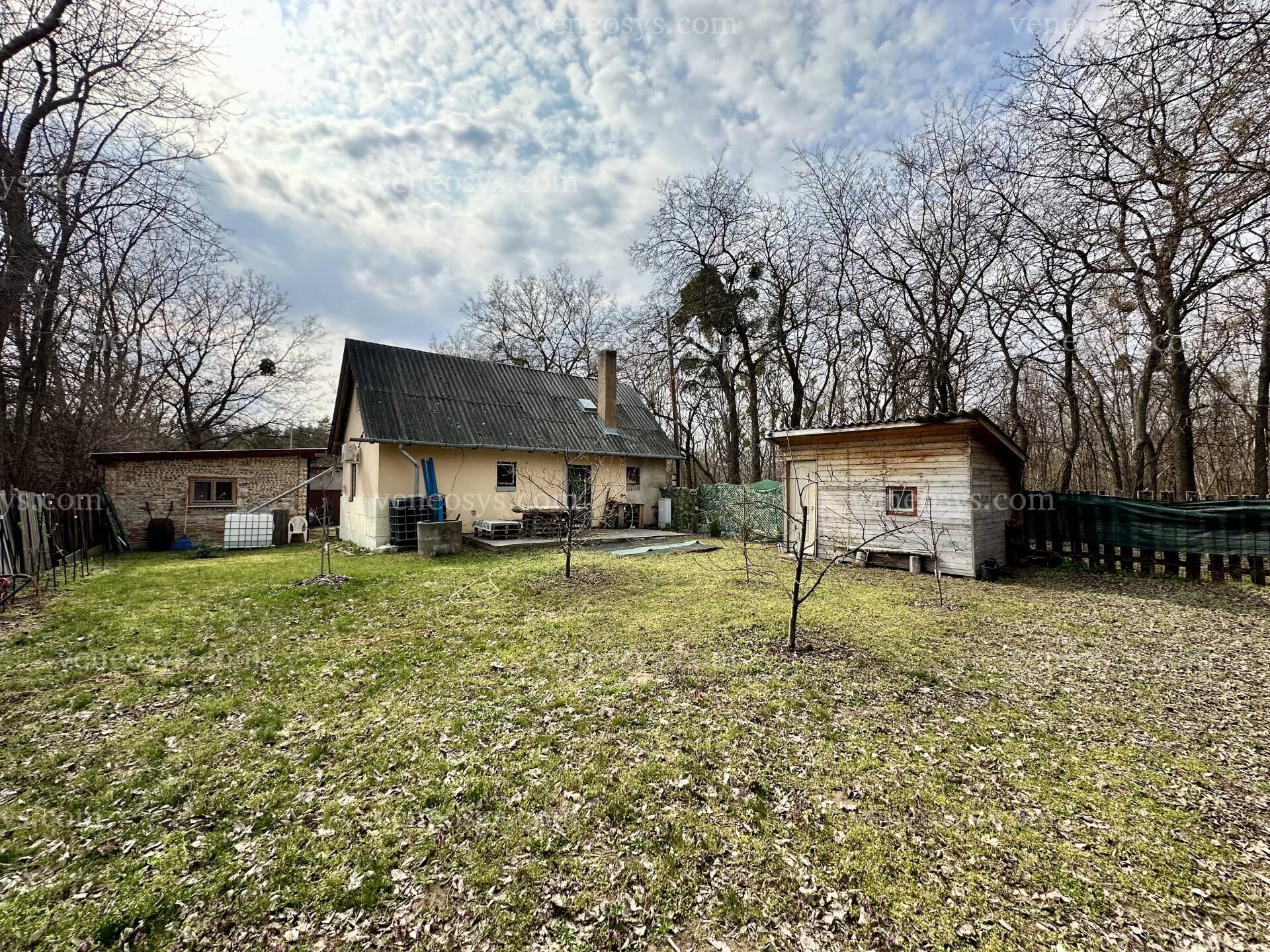Kép 7