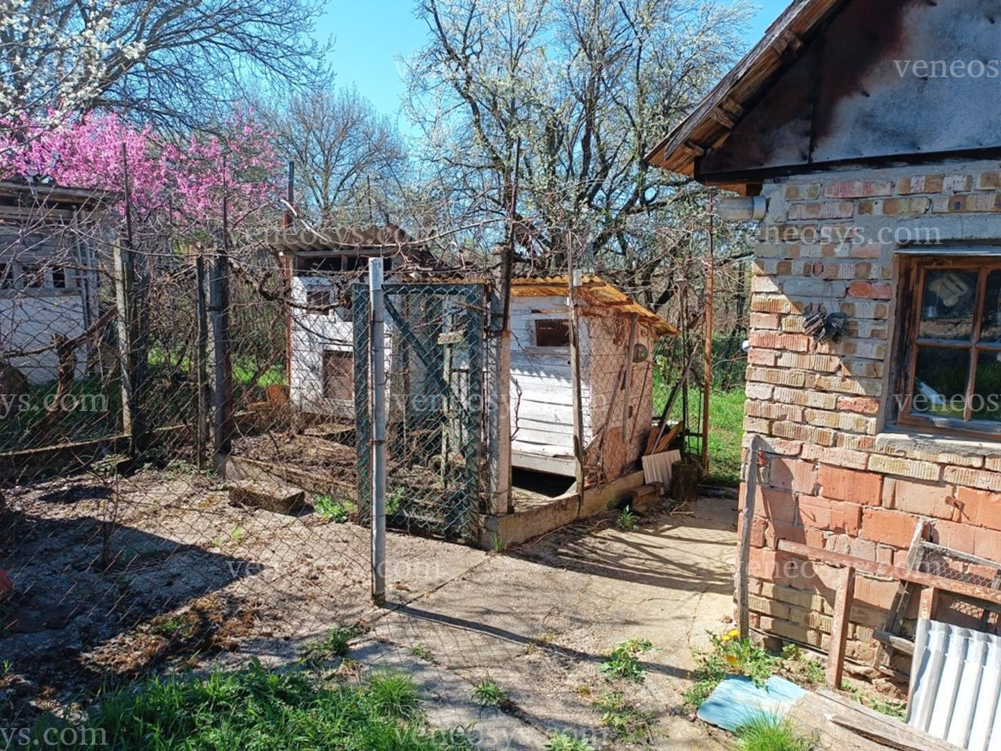 Kép 25