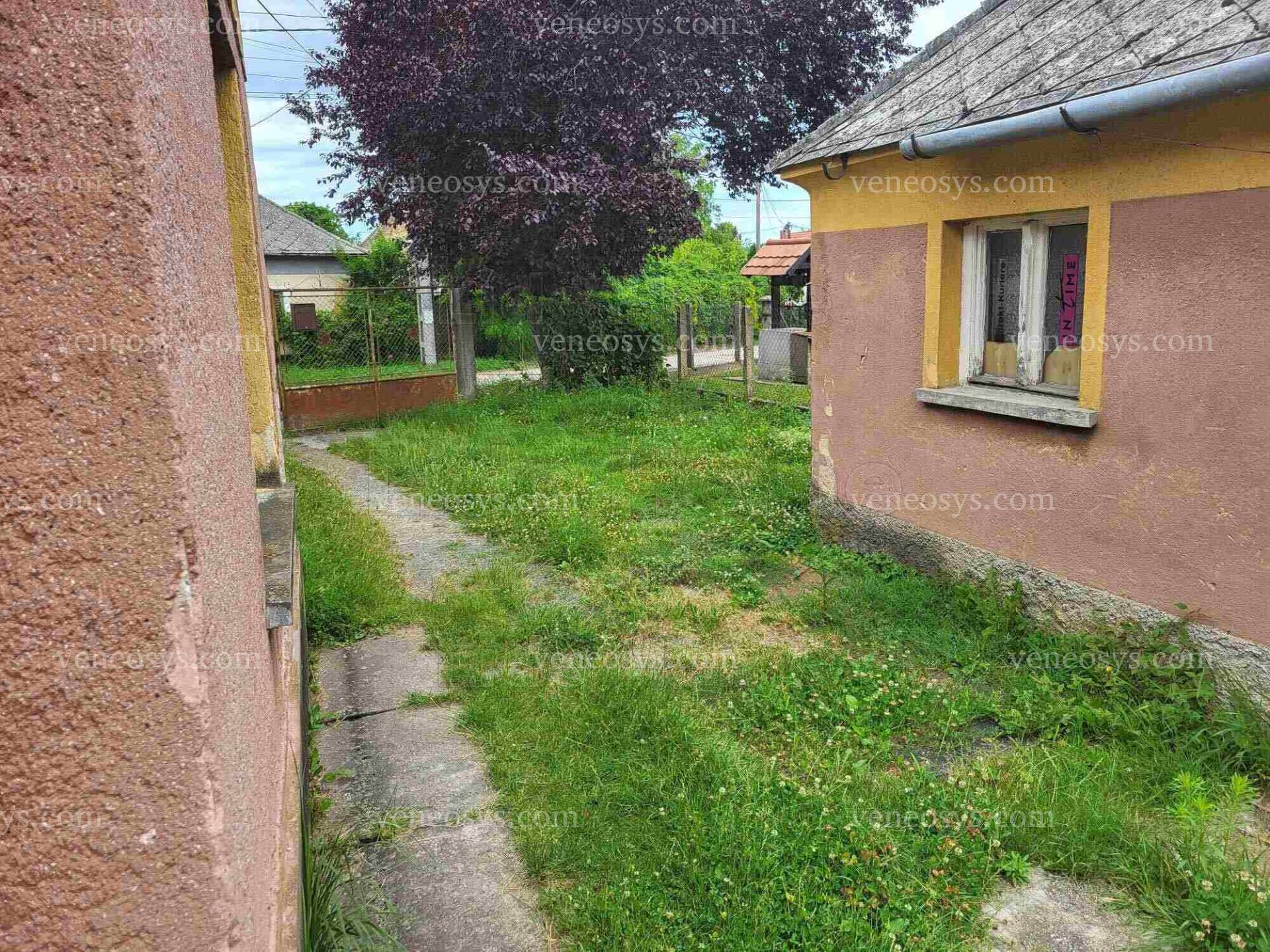 Kép 11