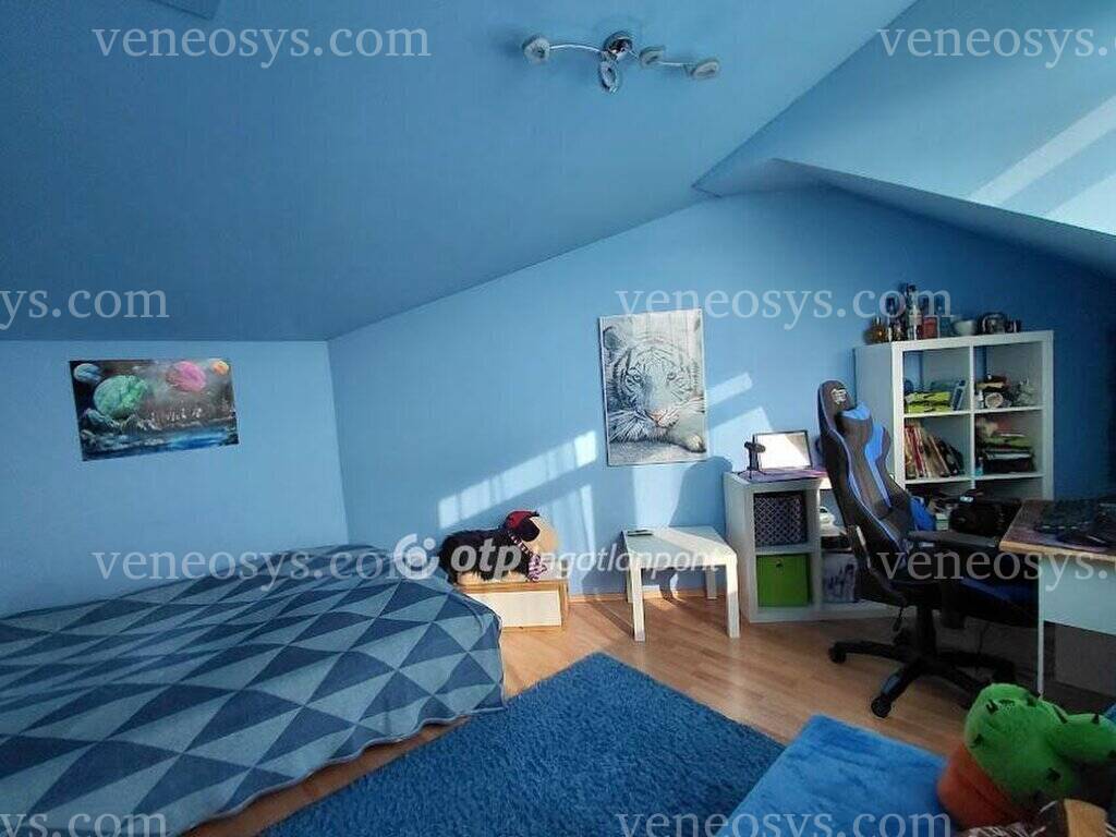 Kép 4