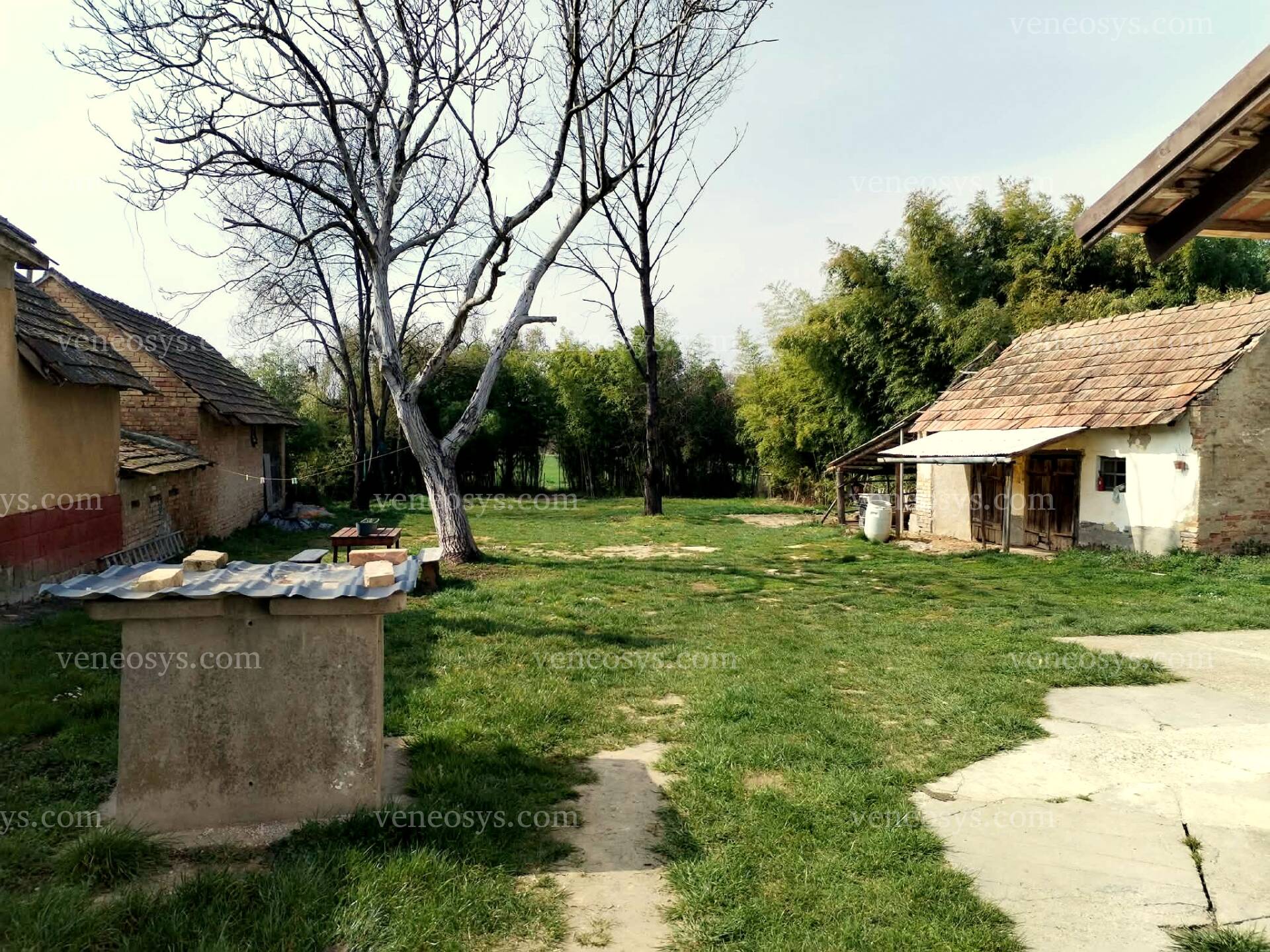 Kép 17