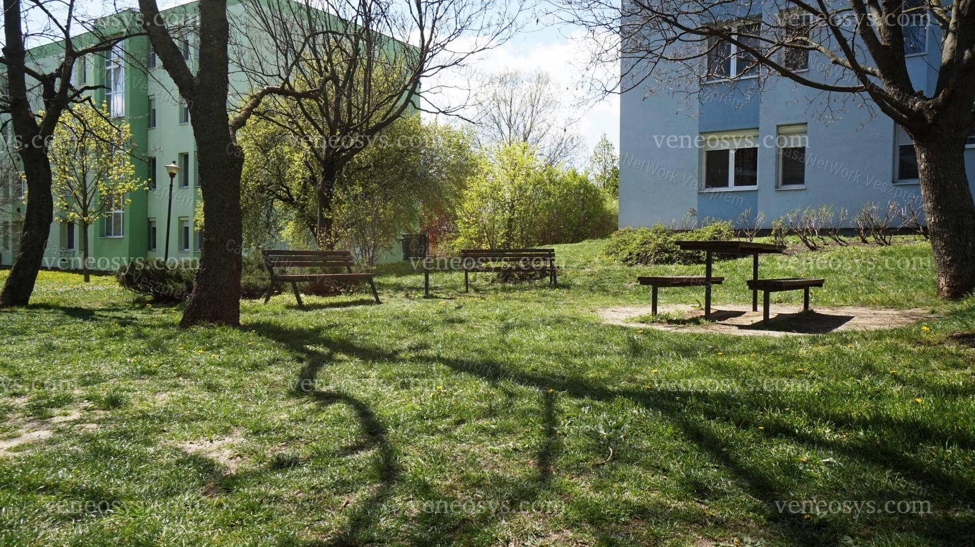 Kép 11