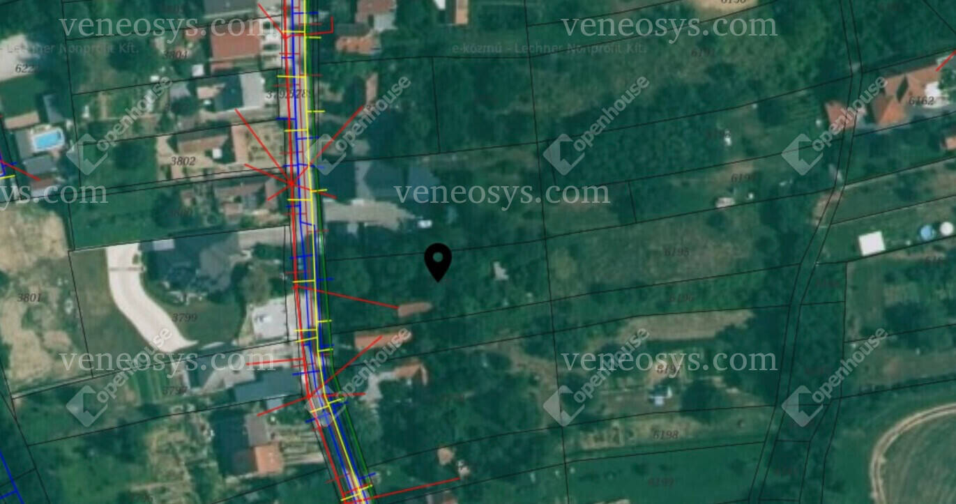 Kép 7