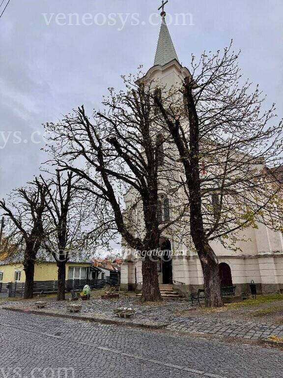 Kép 18