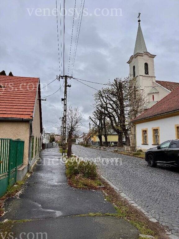 Kép 19