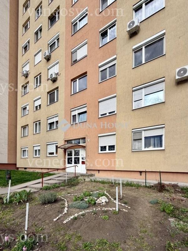 Kép 9