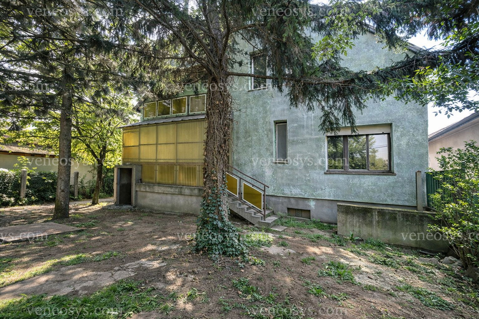 Kép 5