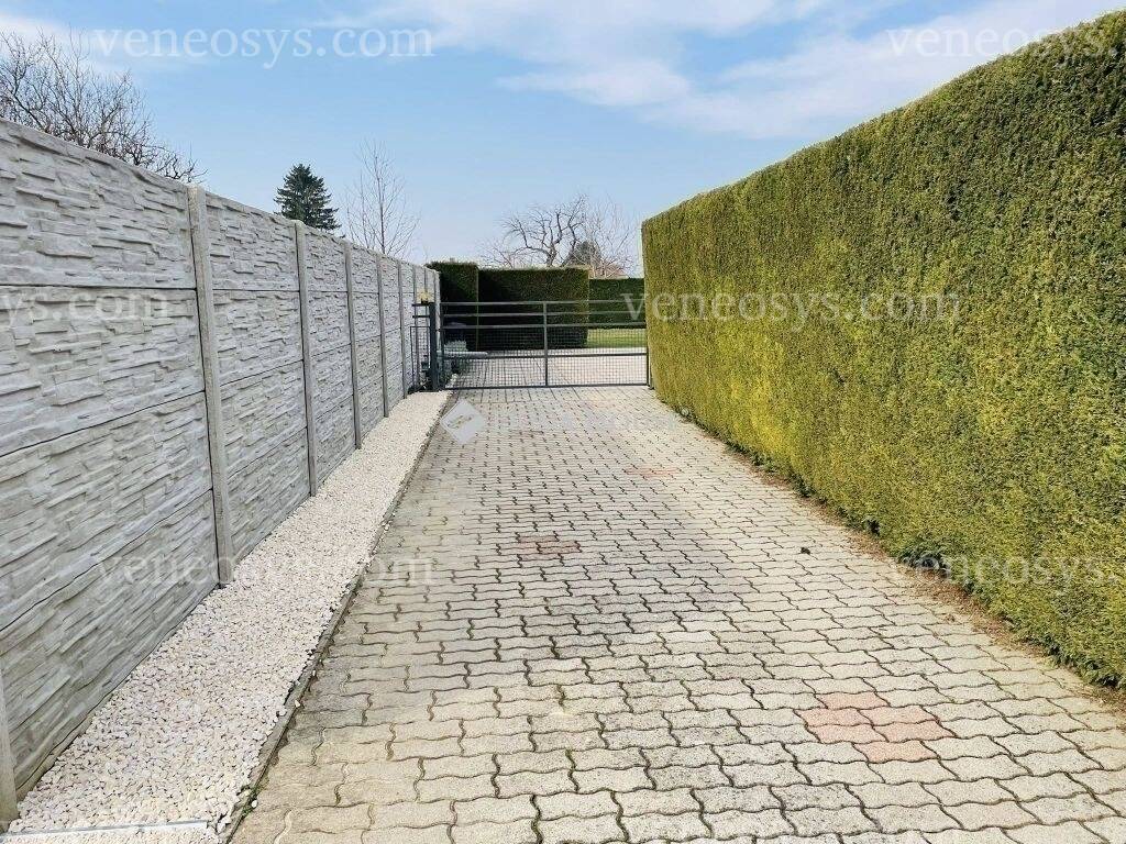 Kép 15