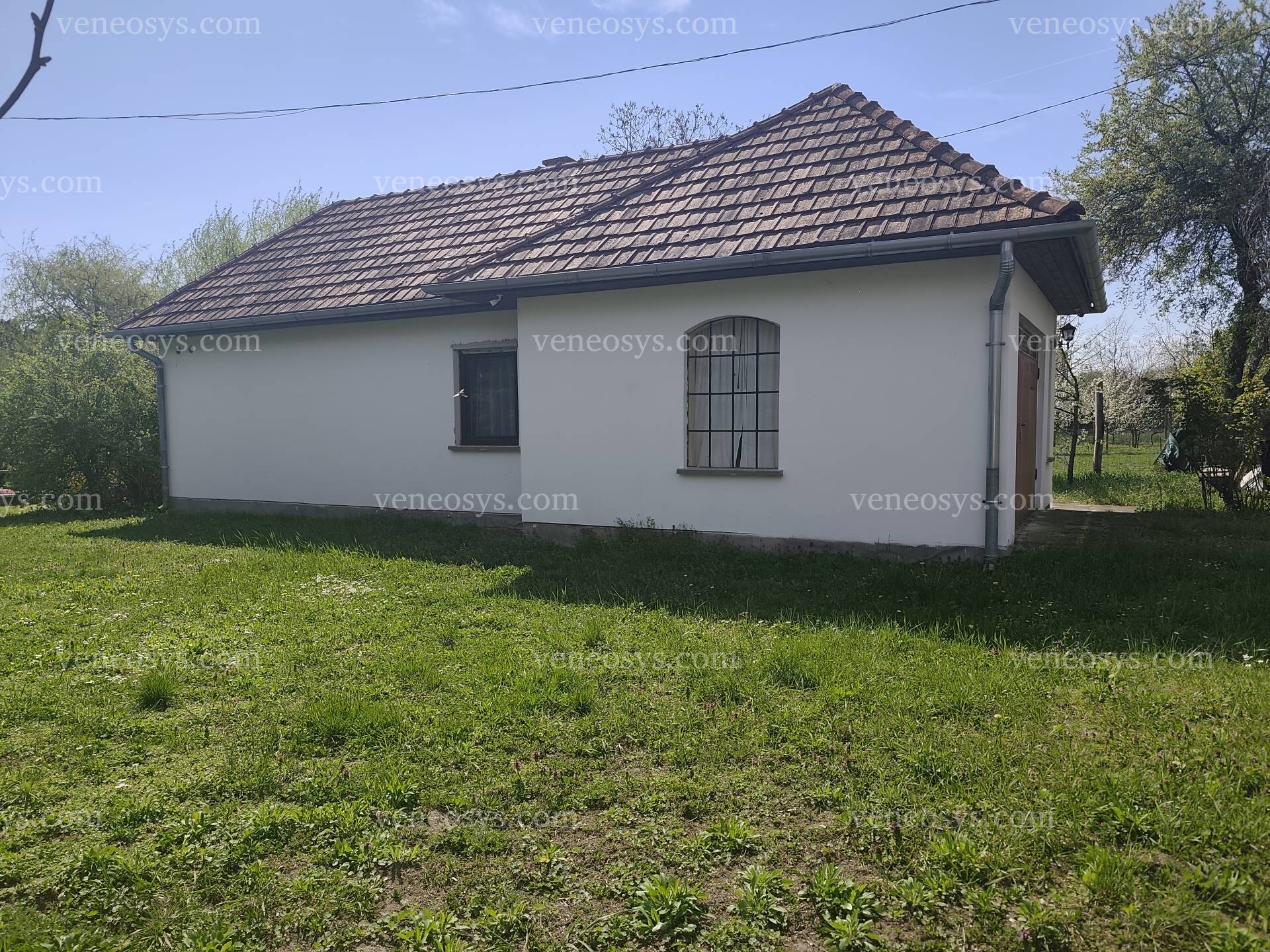 Kép 3