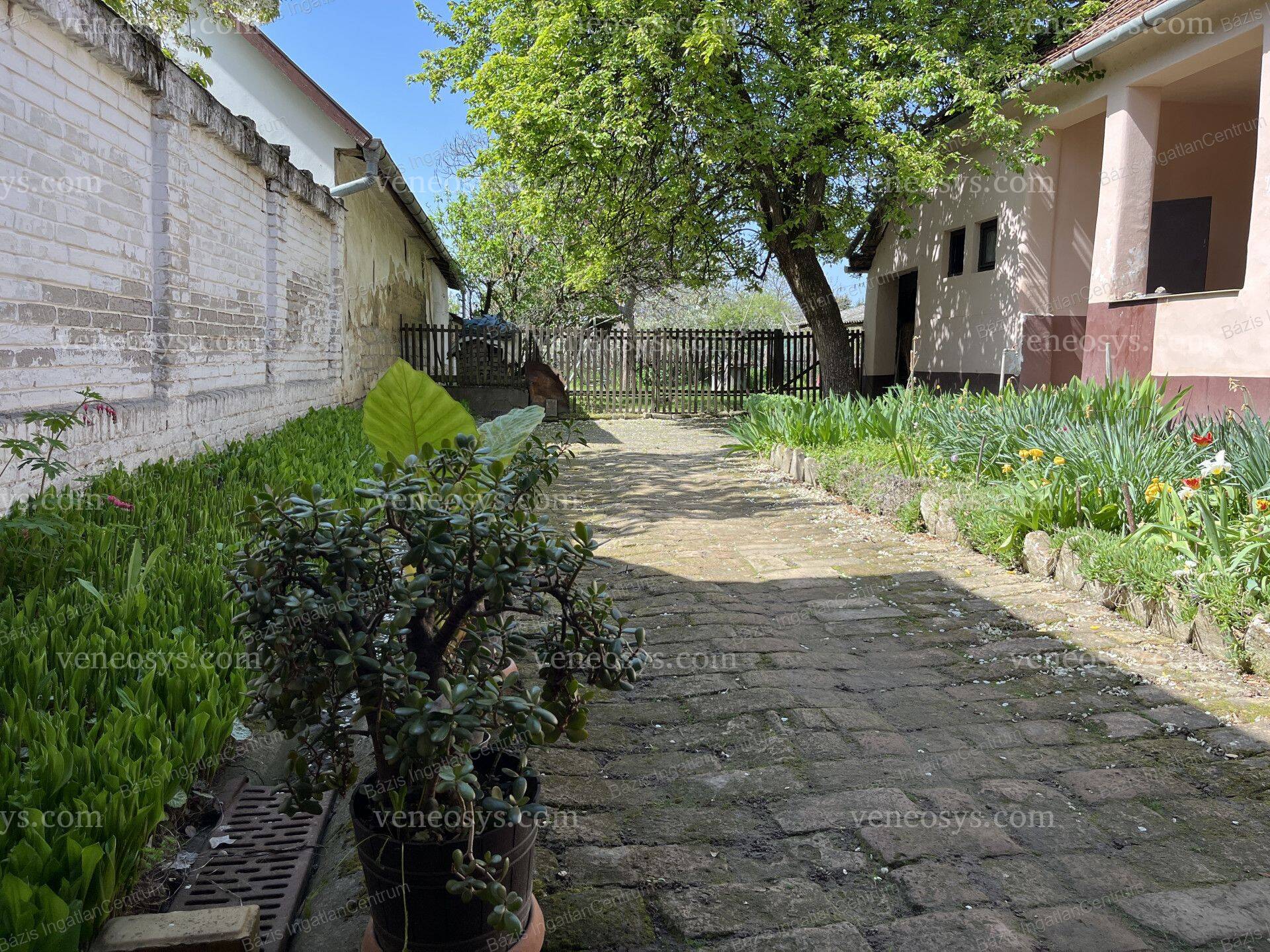 Kép 15