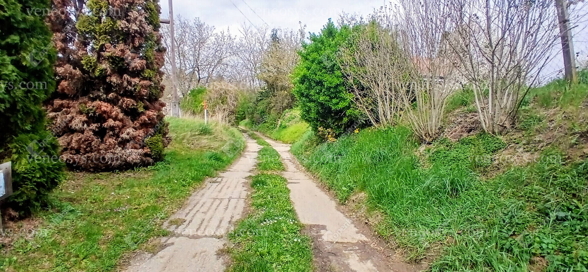 Kép 12