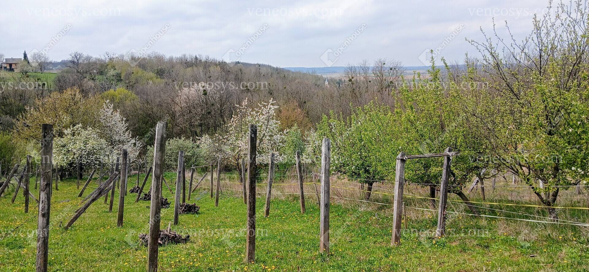 Kép 20
