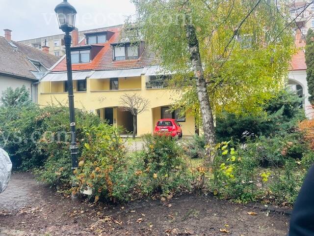 Kép 20