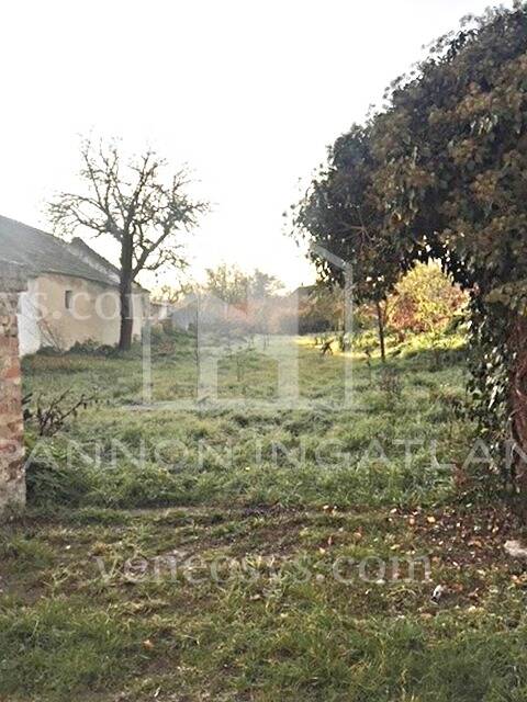 Kép 2