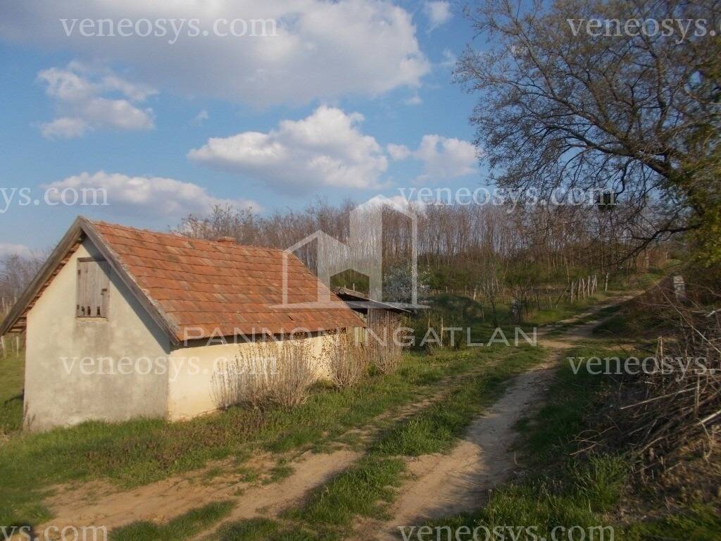 Kép 5