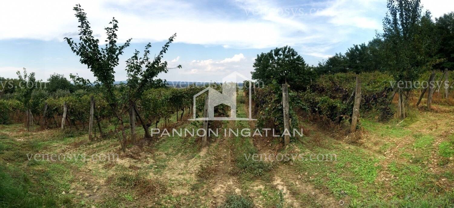 Ingatlan