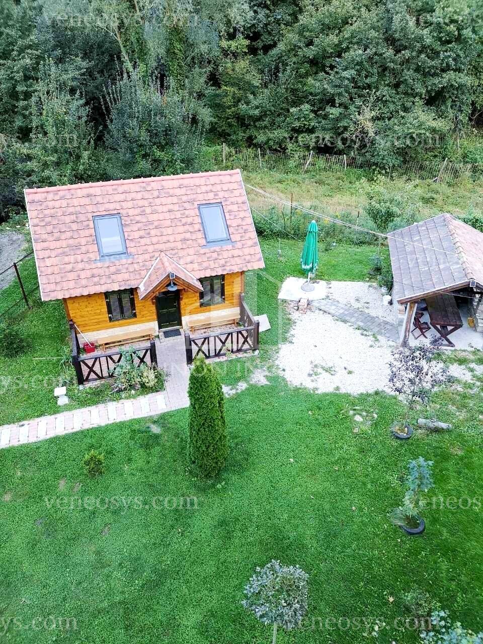 Kép 1