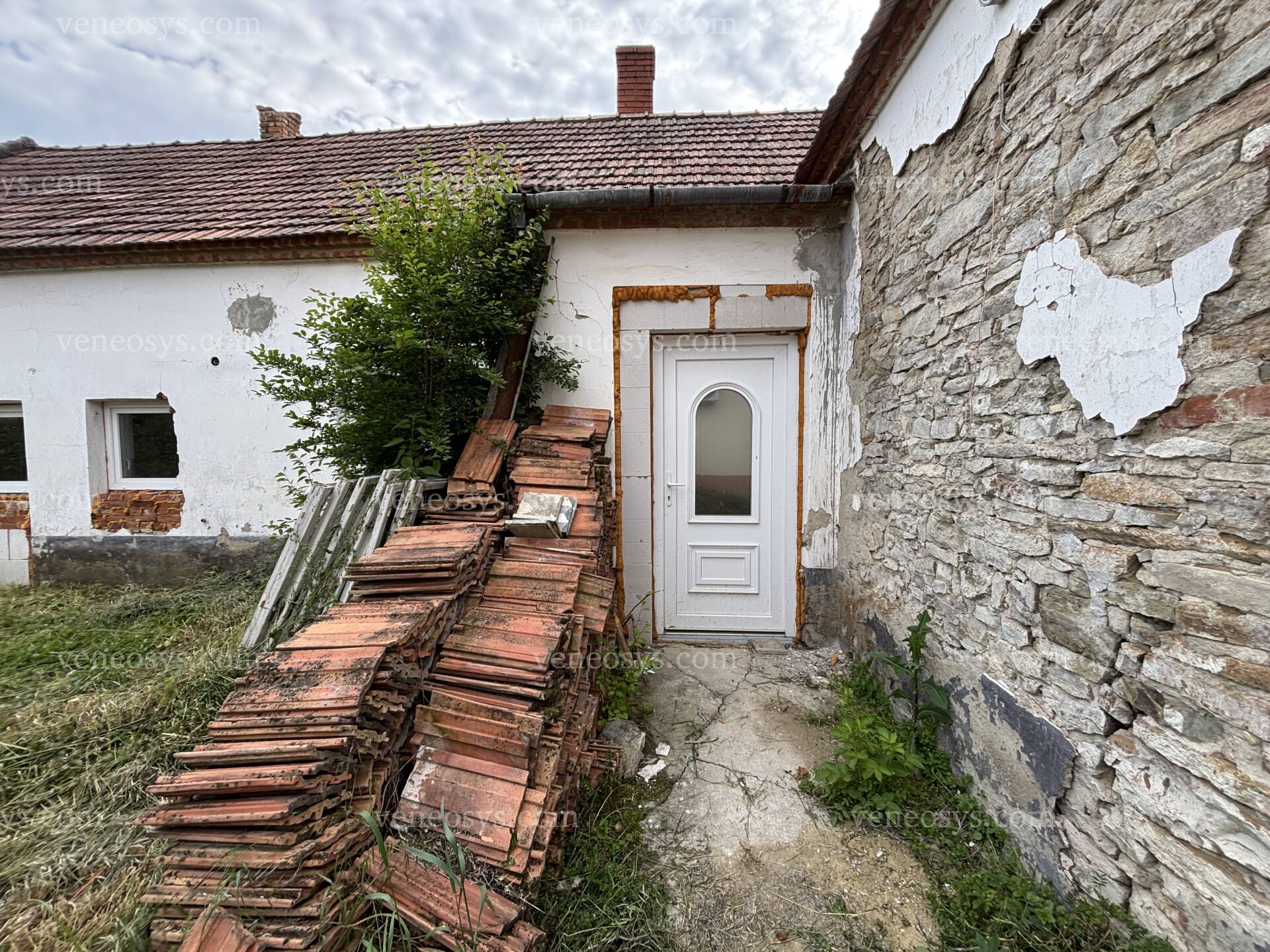 Kép 11