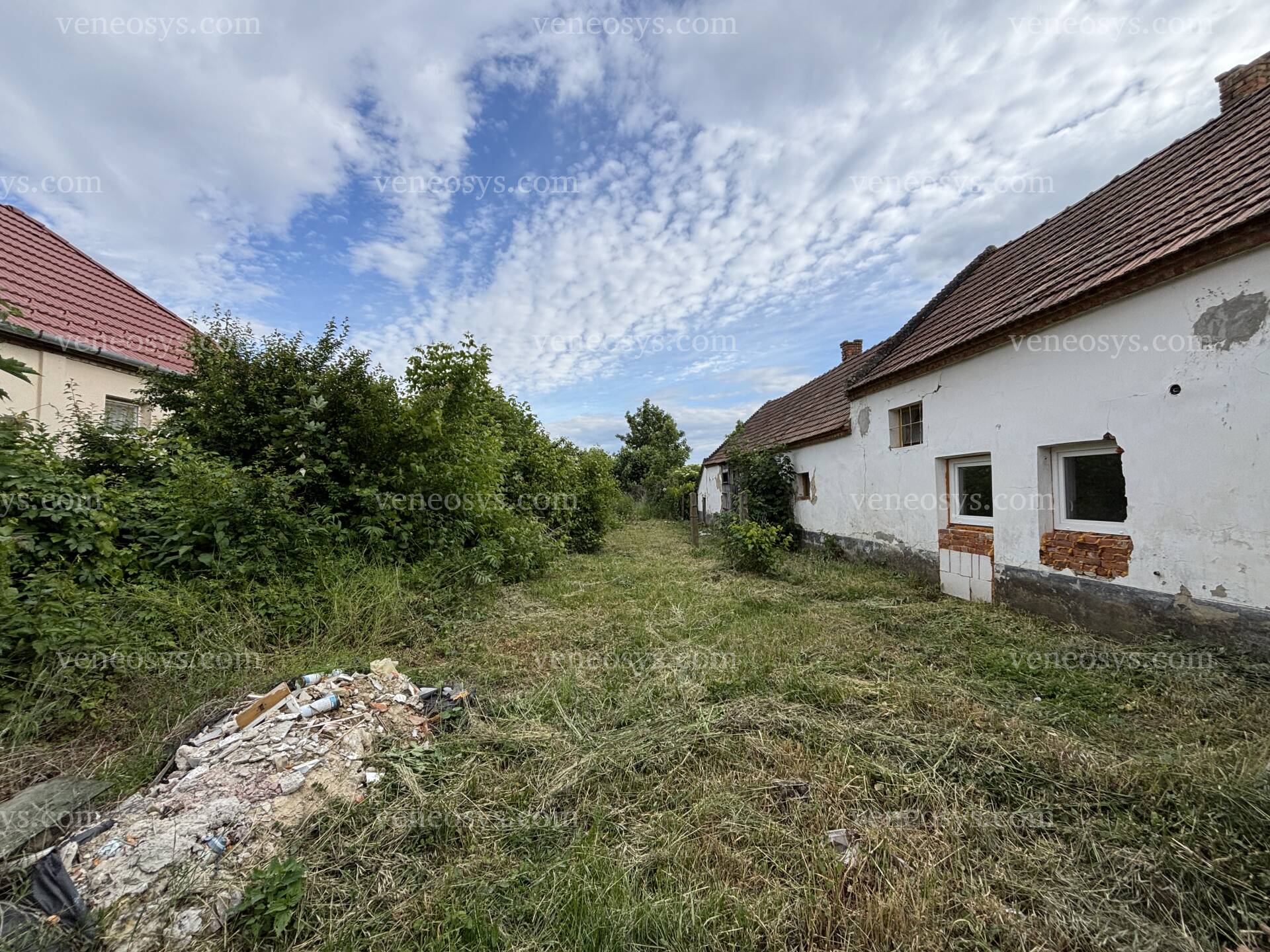 Kép 10