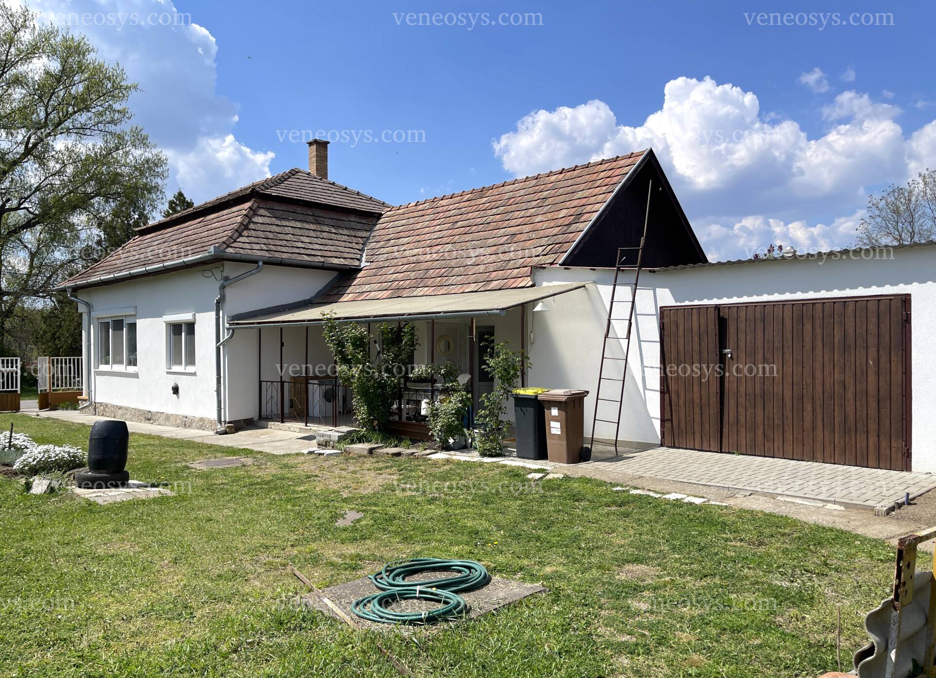 Kép 5
