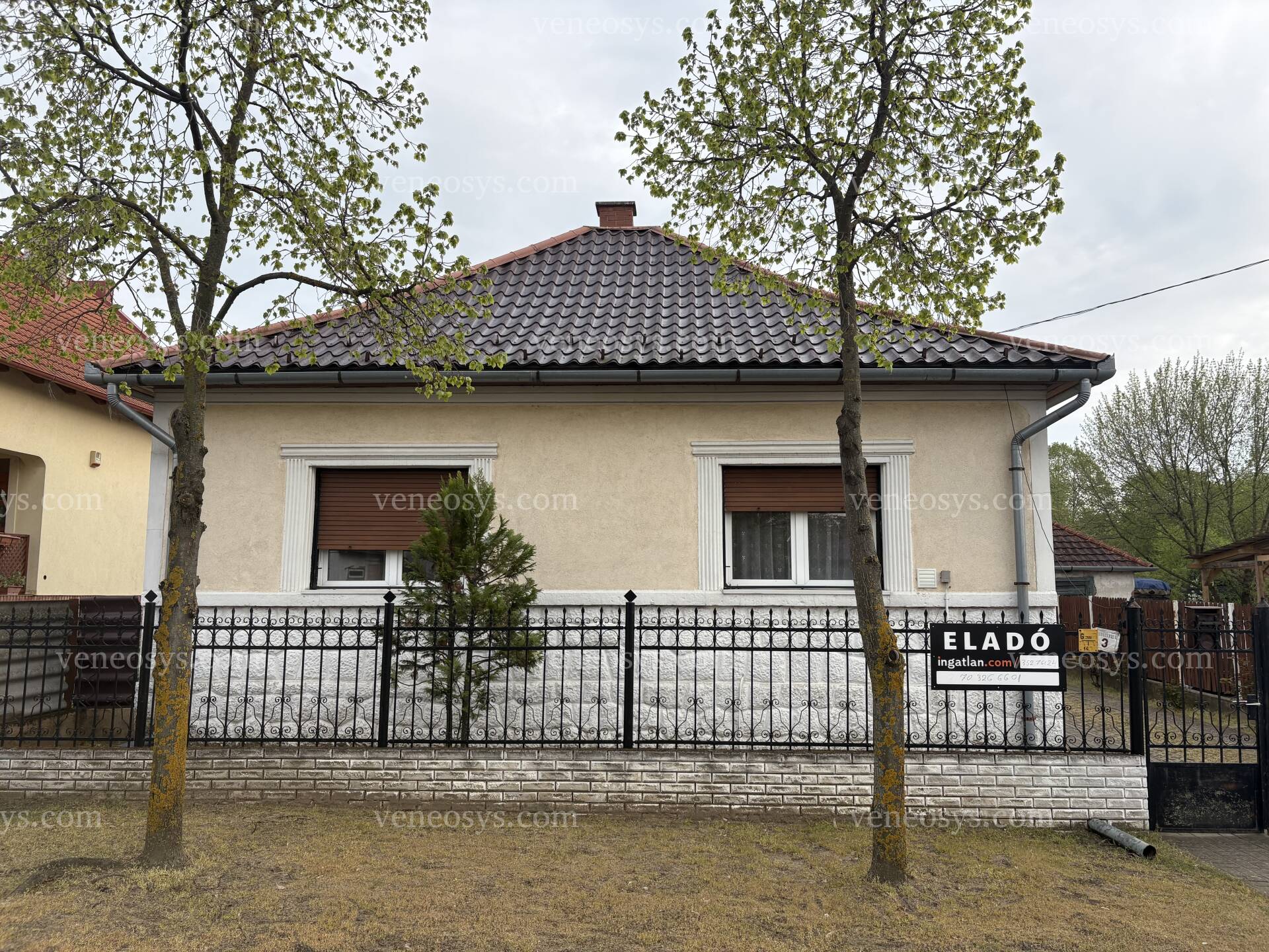 Kép 1