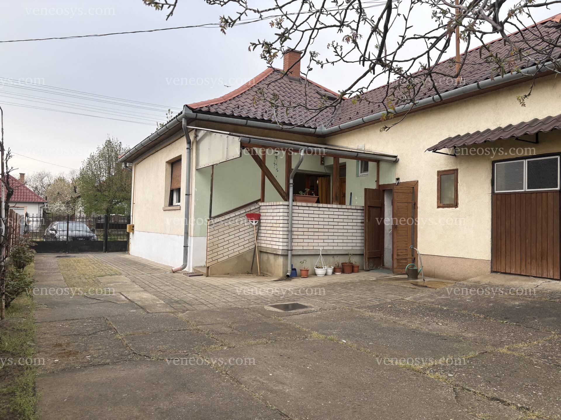 Kép 6